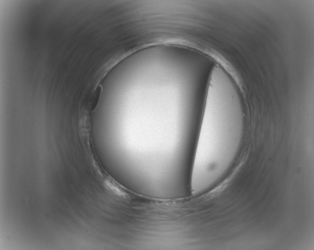 X0000068831001200605081208