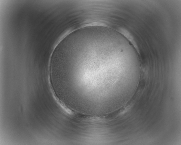 X0000068831002200605081208