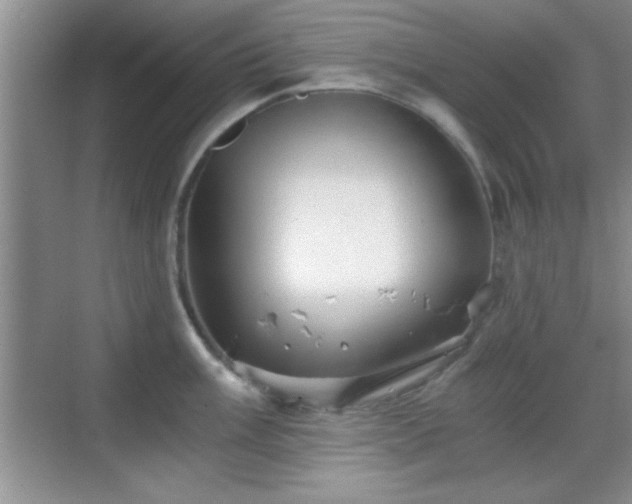 X0000068831003200605081208