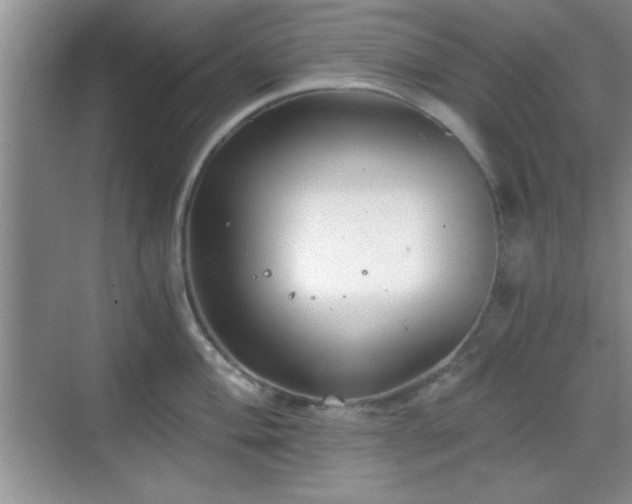 X0000068831004200605081208