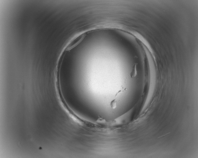 X0000068831005200605081208