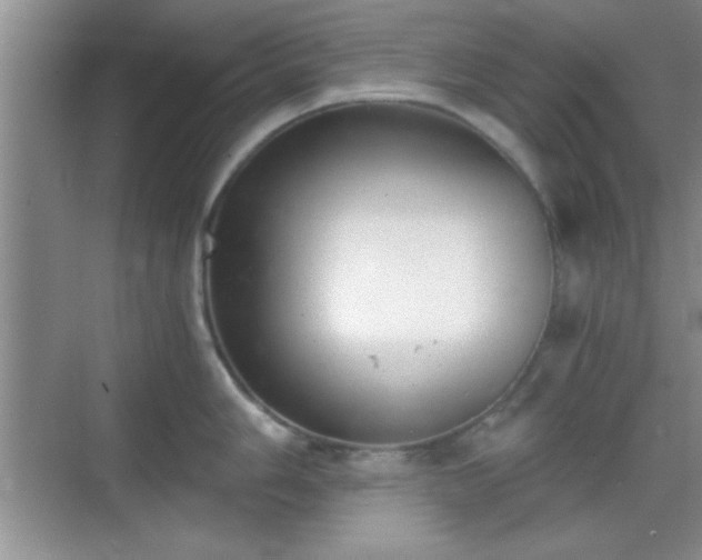 X0000068831006200605081208