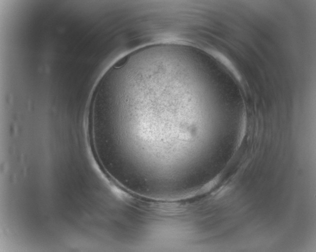 X0000068831007200605081208