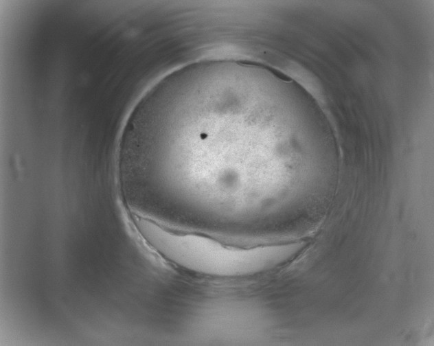 X0000068831008200605081208