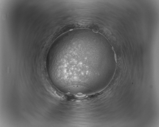 X0000068831009200605081207