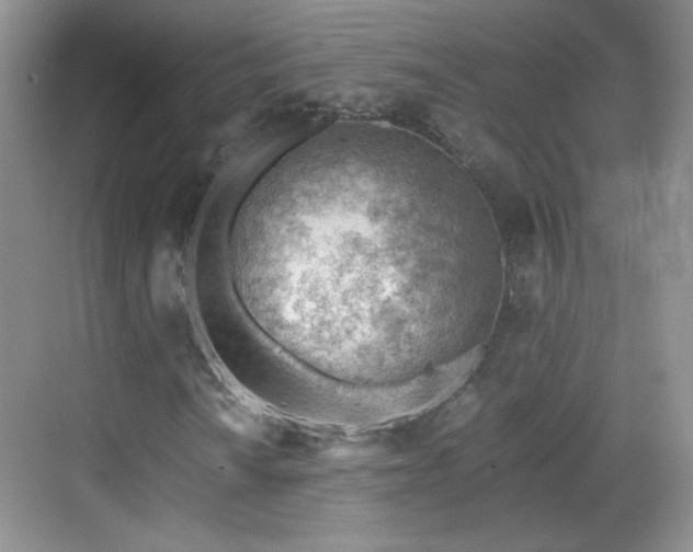 X0000068831010200605081207