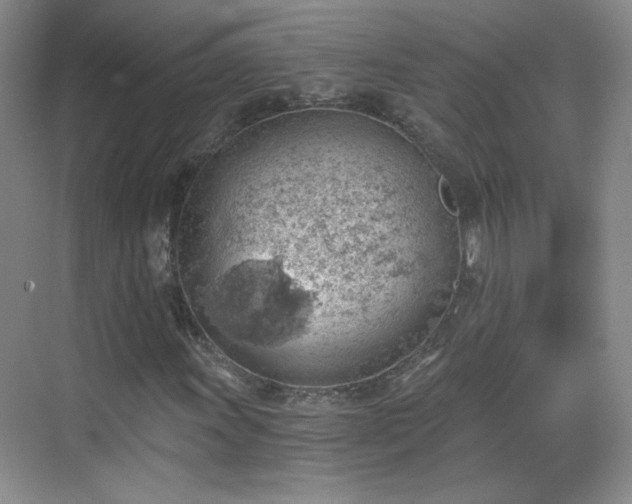 X0000068831011200605081207