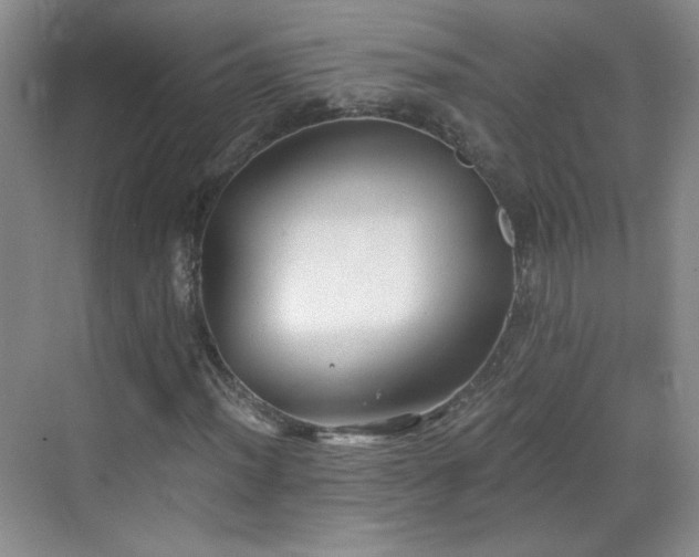 X0000068831012200605081207