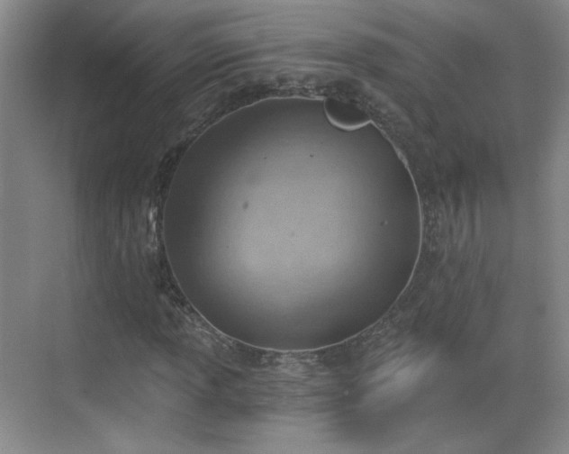 X0000068831013200605081208