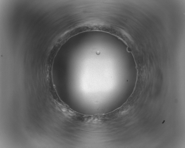 X0000068831016200605081208