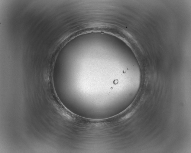 X0000068831017200605081208