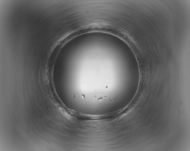 X0000068831018200605081208