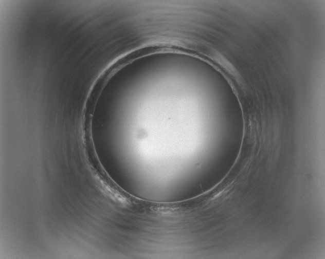 X0000068831020200605081208