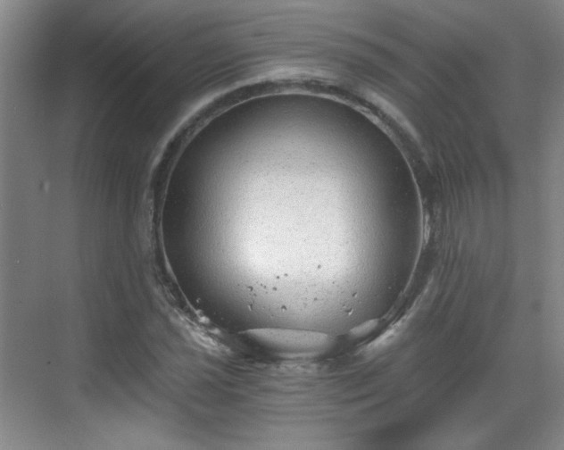 X0000068831021200605081208