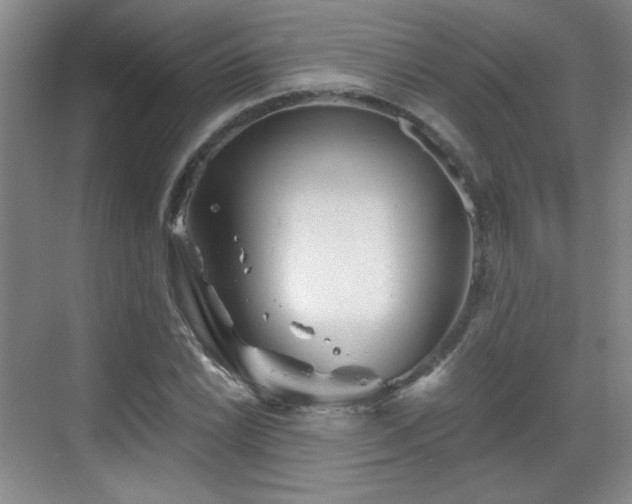 X0000068831022200605081208