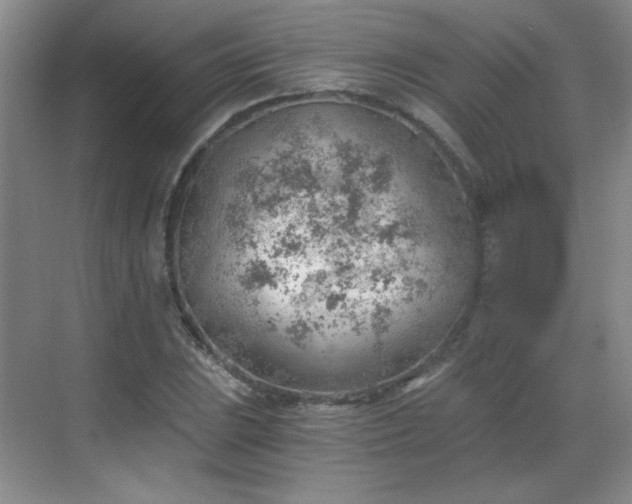 X0000068831023200605081208