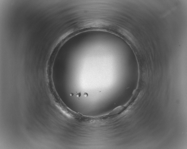 X0000068831026200605081208