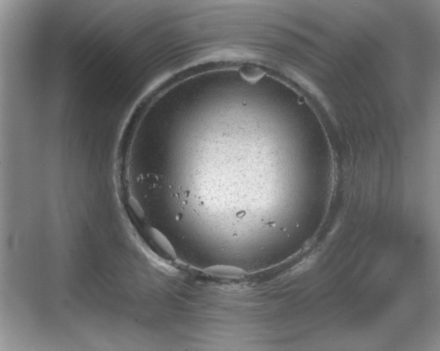 X0000068831029200605081208