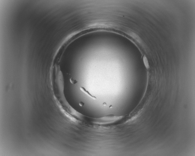 X0000068831030200605081208