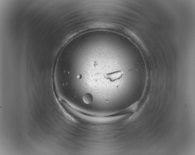 X0000068831033200605081208