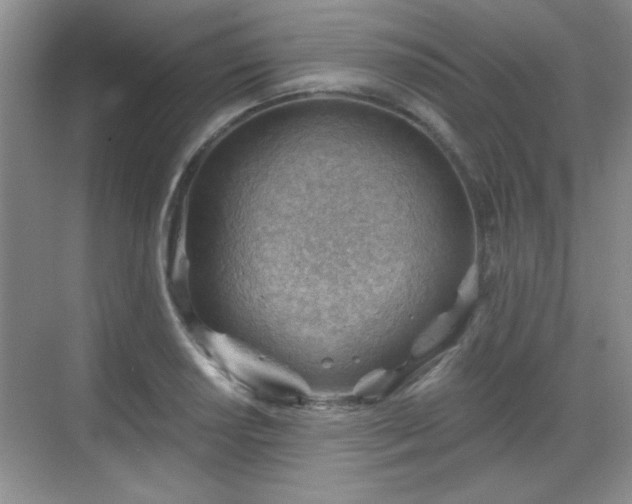 X0000068831034200605081208