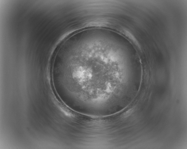 X0000068831035200605081208