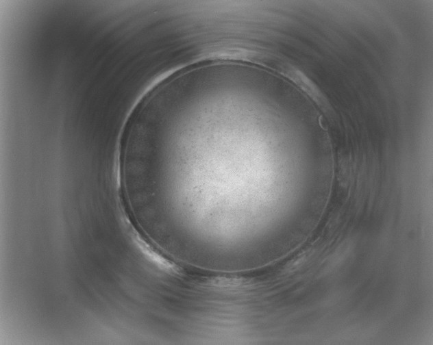 X0000068831036200605081208