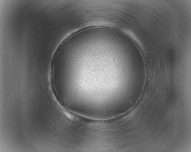 X0000068831040200605081208