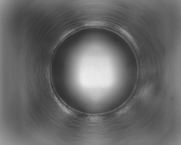 X0000068831041200605081208