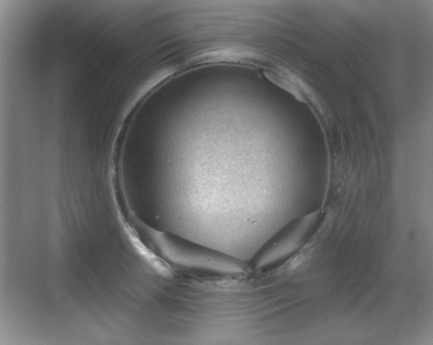 X0000068831042200605081208