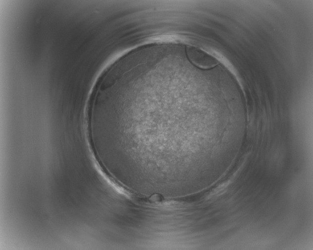 X0000068831045200605081208