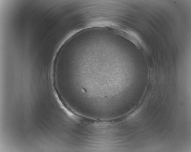 X0000068831046200605081208