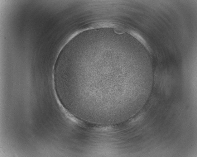 X0000068831047200605081208