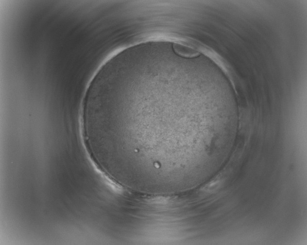 X0000068831048200605081208