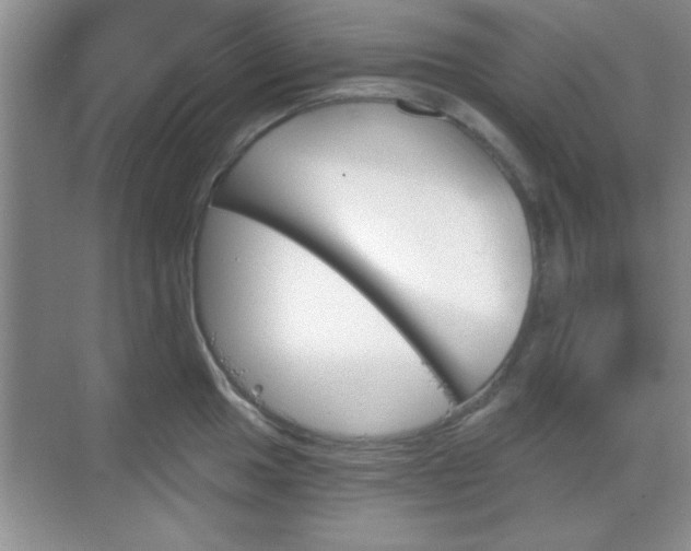 X0000068831049200605081208