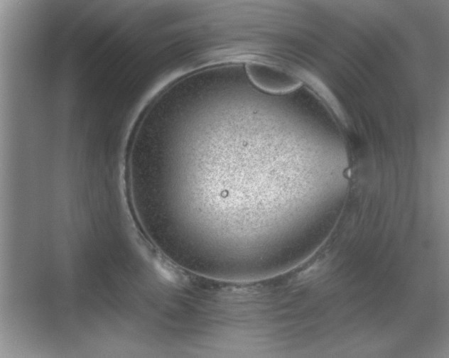 X0000068831051200605081208