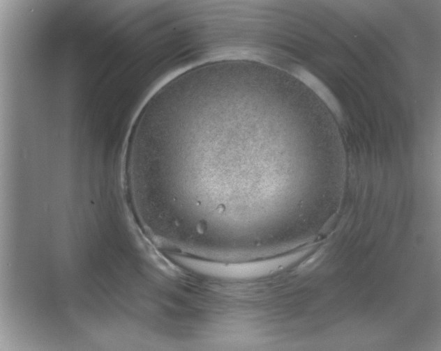 X0000068831052200605081208