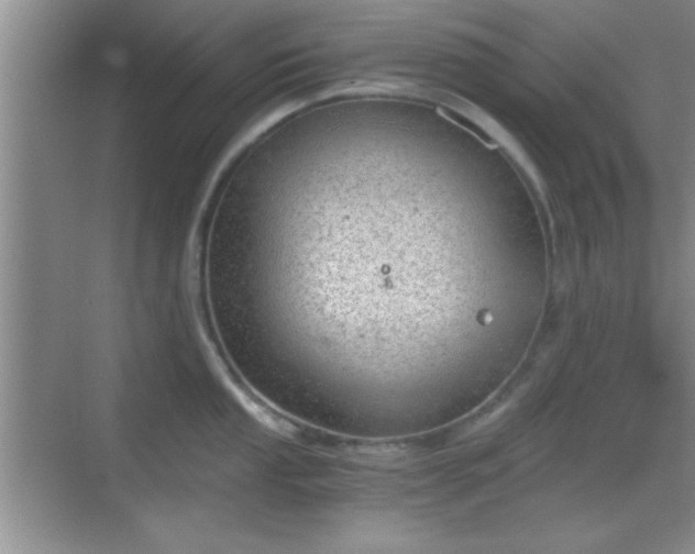 X0000068831053200605081208