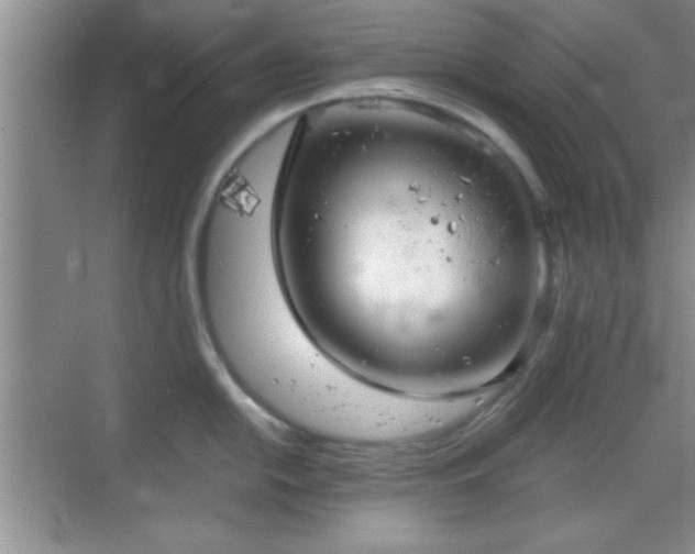 X0000068831054200605081208