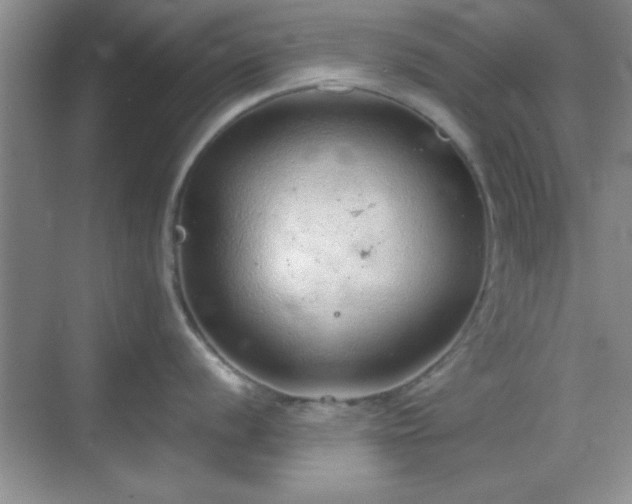 X0000068831056200605081208