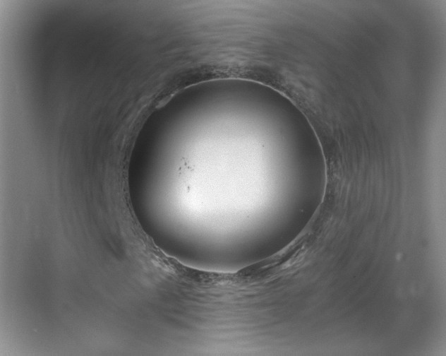 X0000068831057200605081207