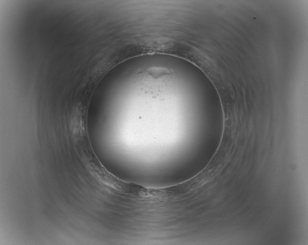 X0000068831058200605081207