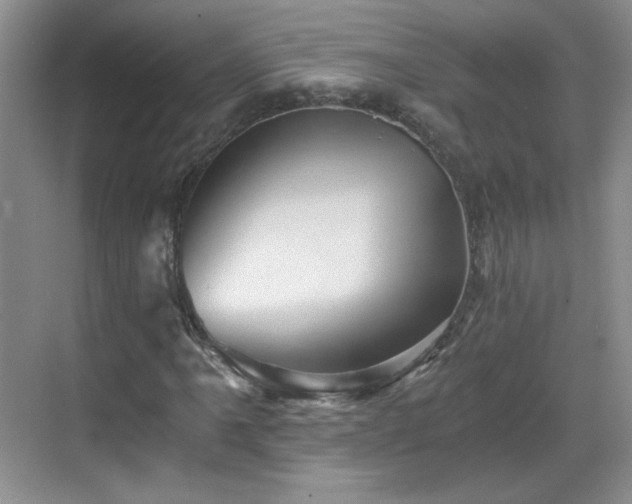 X0000068831061200605081207