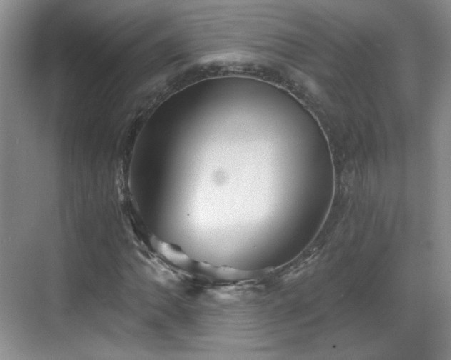 X0000068831062200605081207