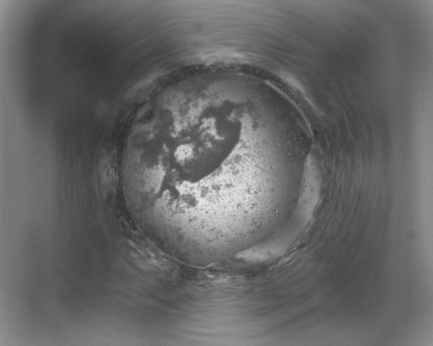 X0000068831063200605081207