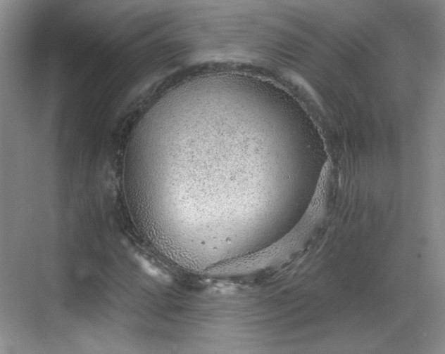 X0000068831064200605081207