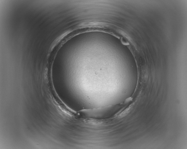 X0000068831066200605081207