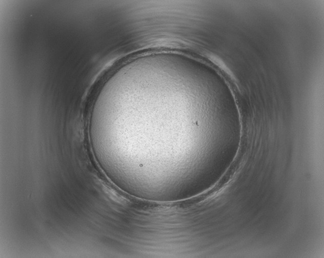 X0000068831067200605081207