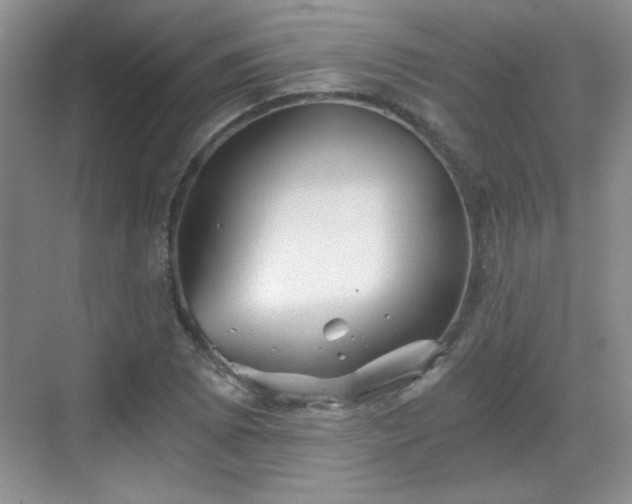 X0000068831073200605081207