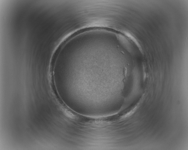 X0000068831077200605081207